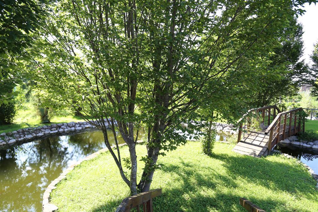 Bed and Breakfast Isola Di Wight San Michele al Tagliamento Esterno foto